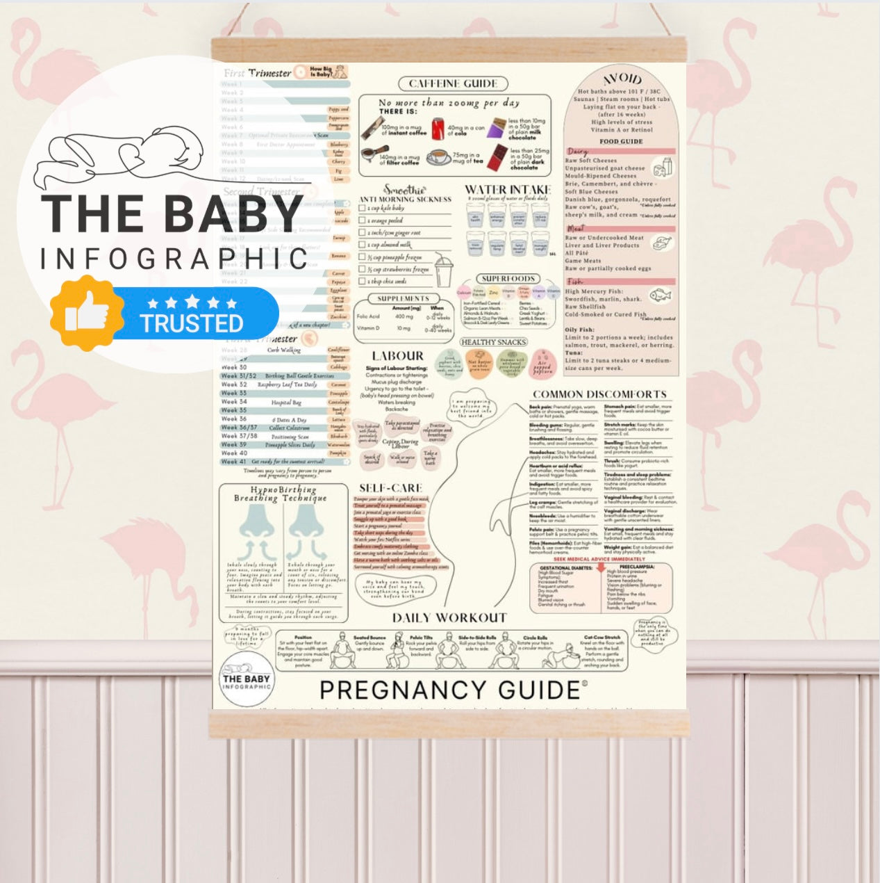 NEW Pregnancy Care Guide © - Printed Poster