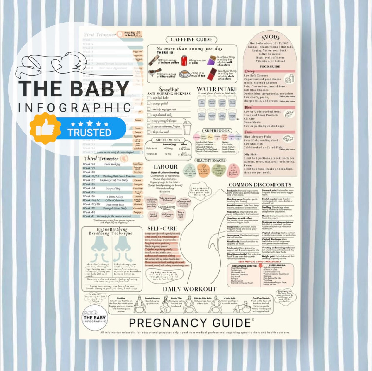 NEW Pregnancy Care Guide © - Printed Poster