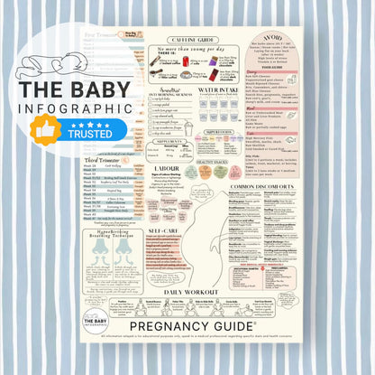 NEW Pregnancy Care Guide © - Digital Download