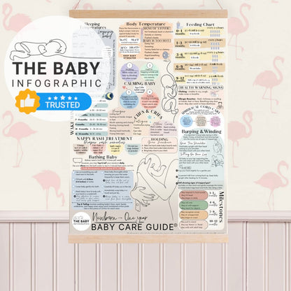 NEW Reversible Ultimate Baby Care & Pregnancy Guide BUNDLE with frame