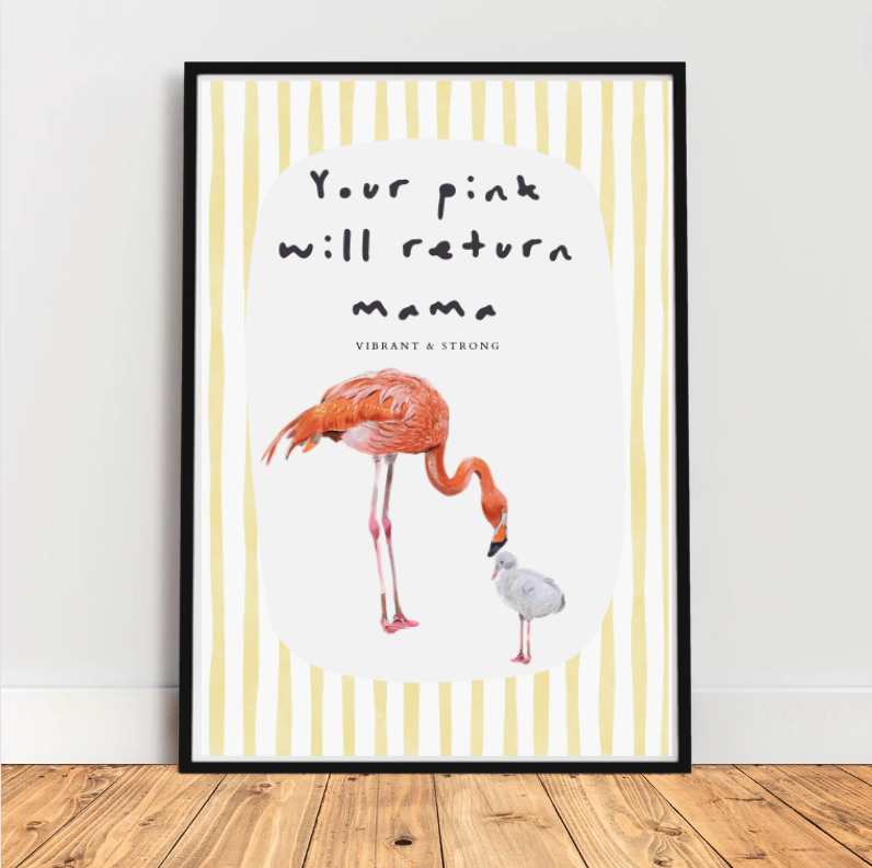 Flamingo Mama & Baby - Postpartum series