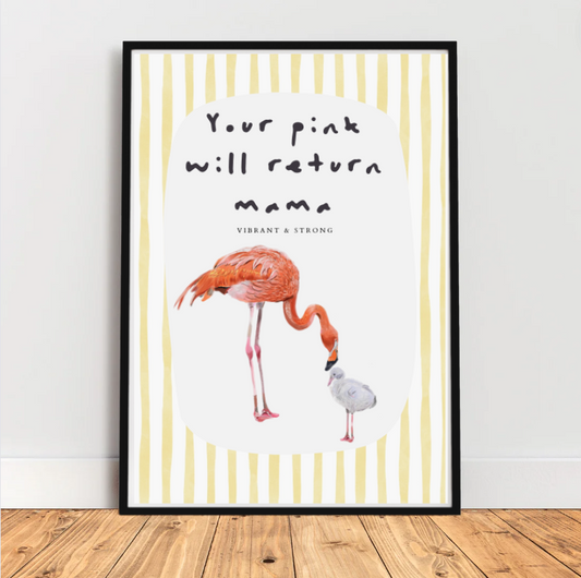 Flamingo Mama & Baby - Postpartum series